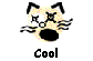  Cool 